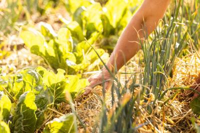 Location salle La Penne (Alpes-Maritimes) - Domaine la Plume #22