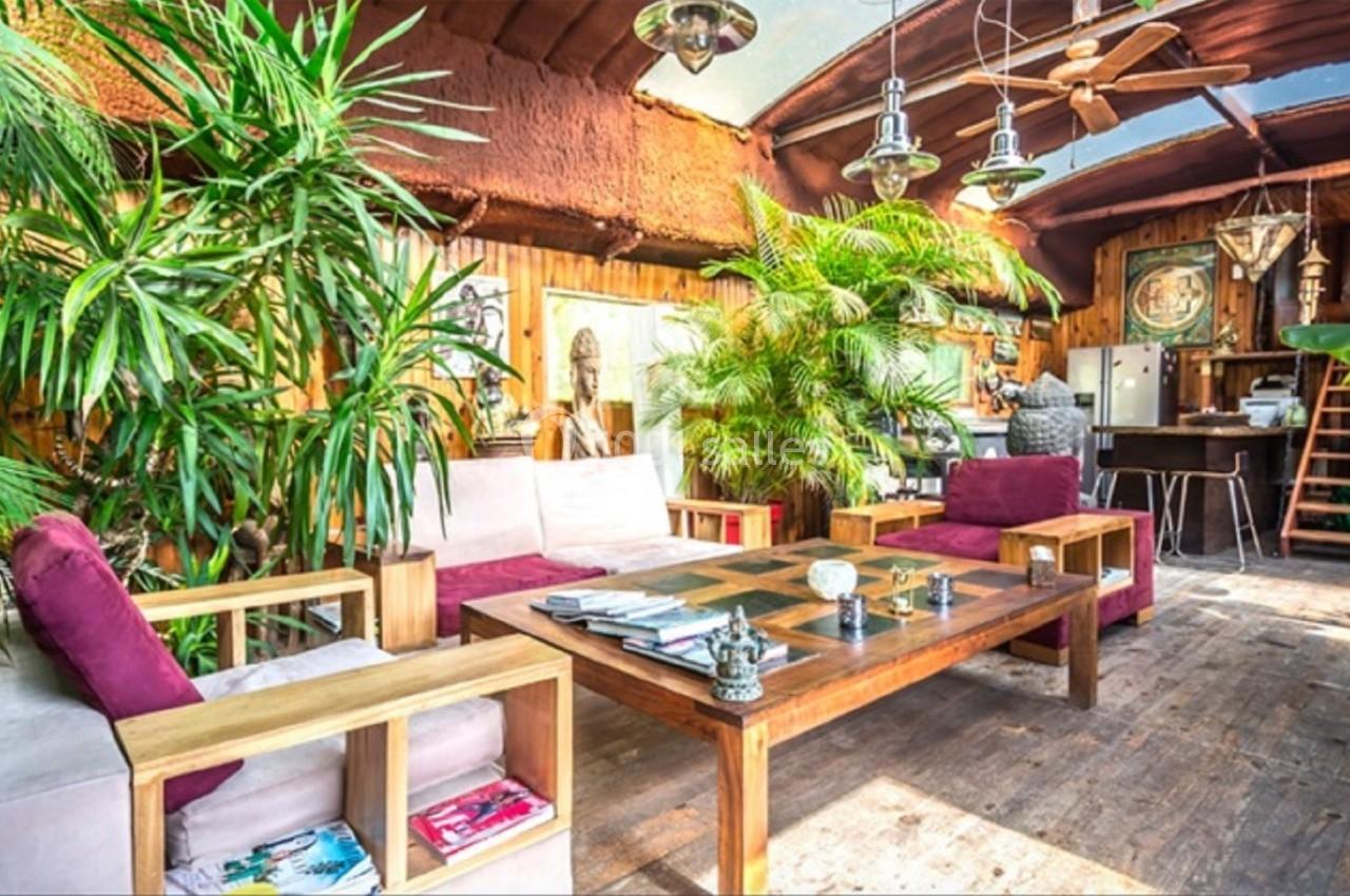 Salon lumineux avec mobilier en bois, plantes vertes, canapés, table basse et cuisine ouverte en arrière-plan.