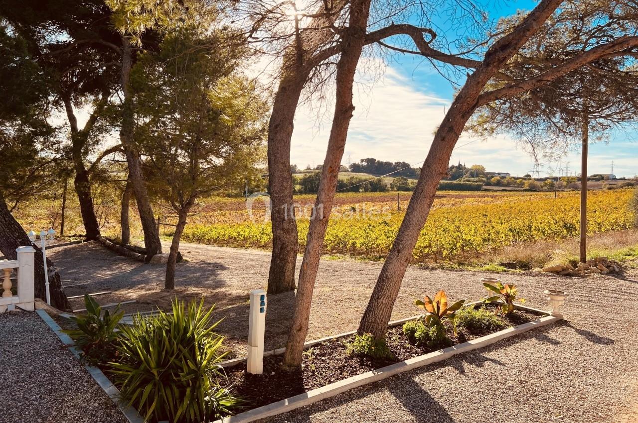 Domaine des Hautes Vignes - galerie - photo 7