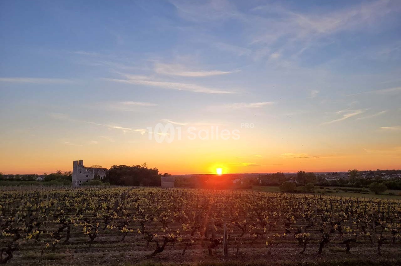 Coucher de soleil sur un vignoble avec une petite bâtisse en pierre à l'horizon sous un ciel dégagé.
