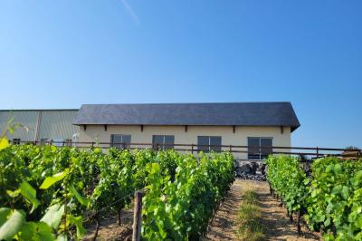 Domaine Delaunay - photo 2