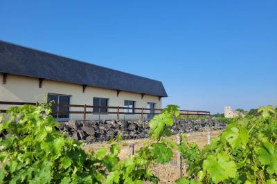 Domaine Delaunay - photo 1