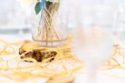 D'Elia Apparat - Organisation d'Evénements D'Elia Apparat - Organisation d'Evénements