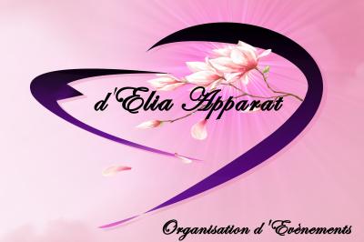 D'Elia Apparat - Organisation d'Evénements - photo 5