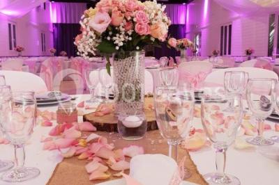 Bâtisse provençale entourée de cyprès et de champs verts, avec des arbres en arrière-plan sous un ciel clair.