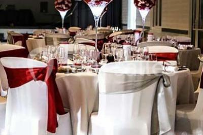 Bâtisse provençale entourée de cyprès et de champs verts, avec des arbres en arrière-plan sous un ciel clair.