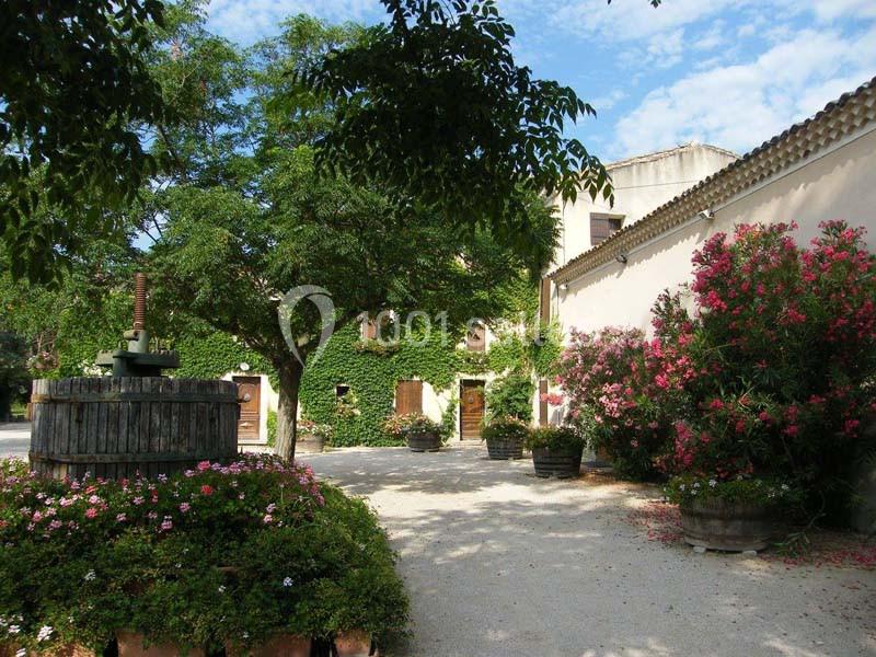 Cour d'une maison provençale avec façade couverte de lierre, arbres, fleurs et anciens tonneaux en bois.