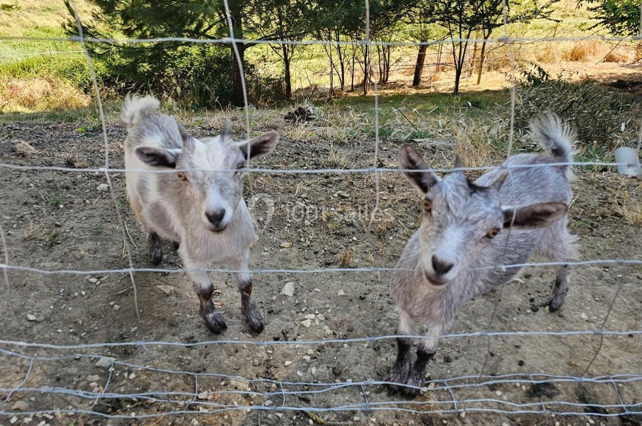 Location salle Molières (Tarn-et-Garonne) - Domaine de Massoulac #19