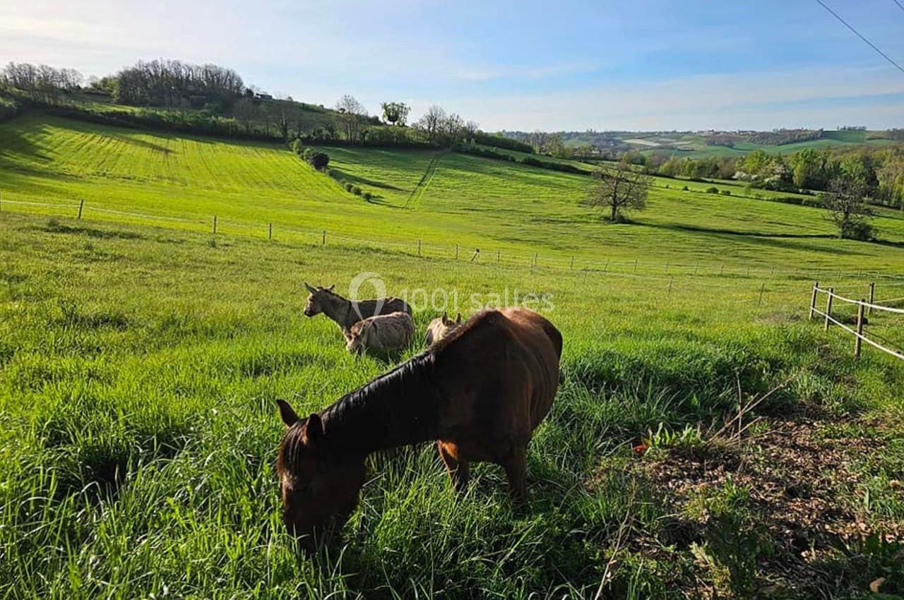 Location salle Molières (Tarn-et-Garonne) - Domaine de Massoulac #16