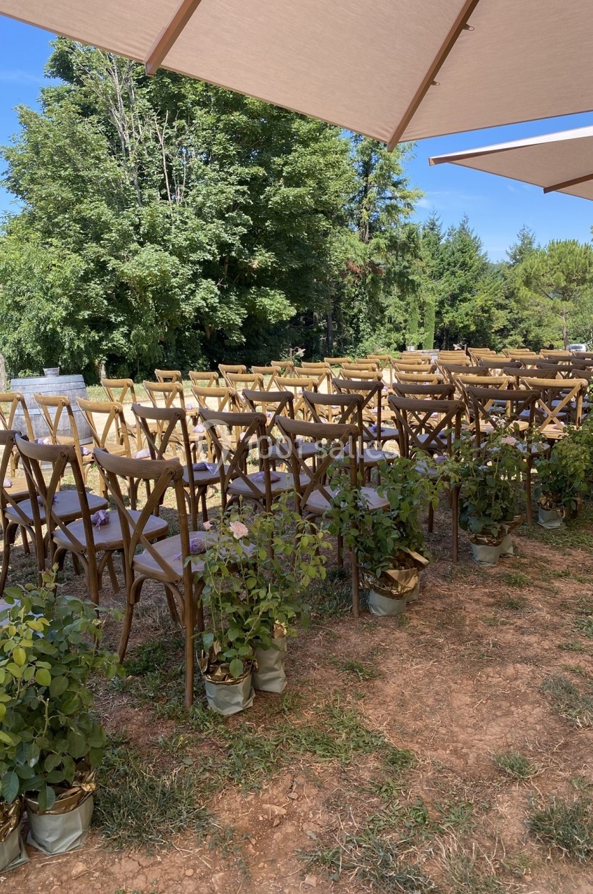 Chaises en bois alignées en extérieur sous des parasols, entourées de plantes en pot, avec des arbres en arrière-plan.