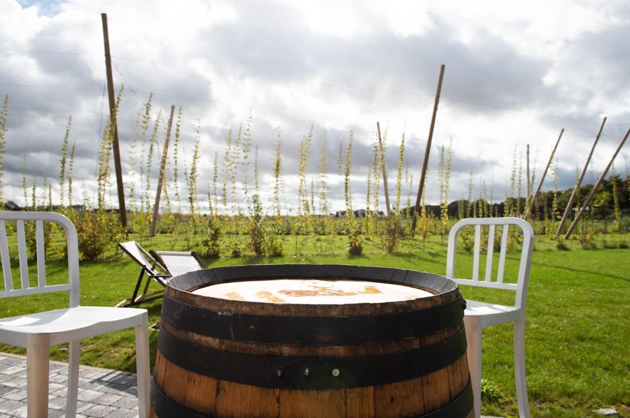 Tonneau en bois servant de table entouré de deux chaises blanches, avec un champ de houblon en arrière-plan.