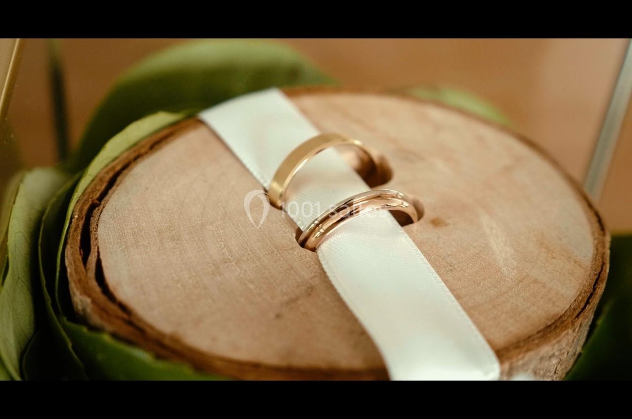 Deux alliances dorées posées sur un rondin de bois décoré d'un ruban blanc, entouré de feuilles vertes.