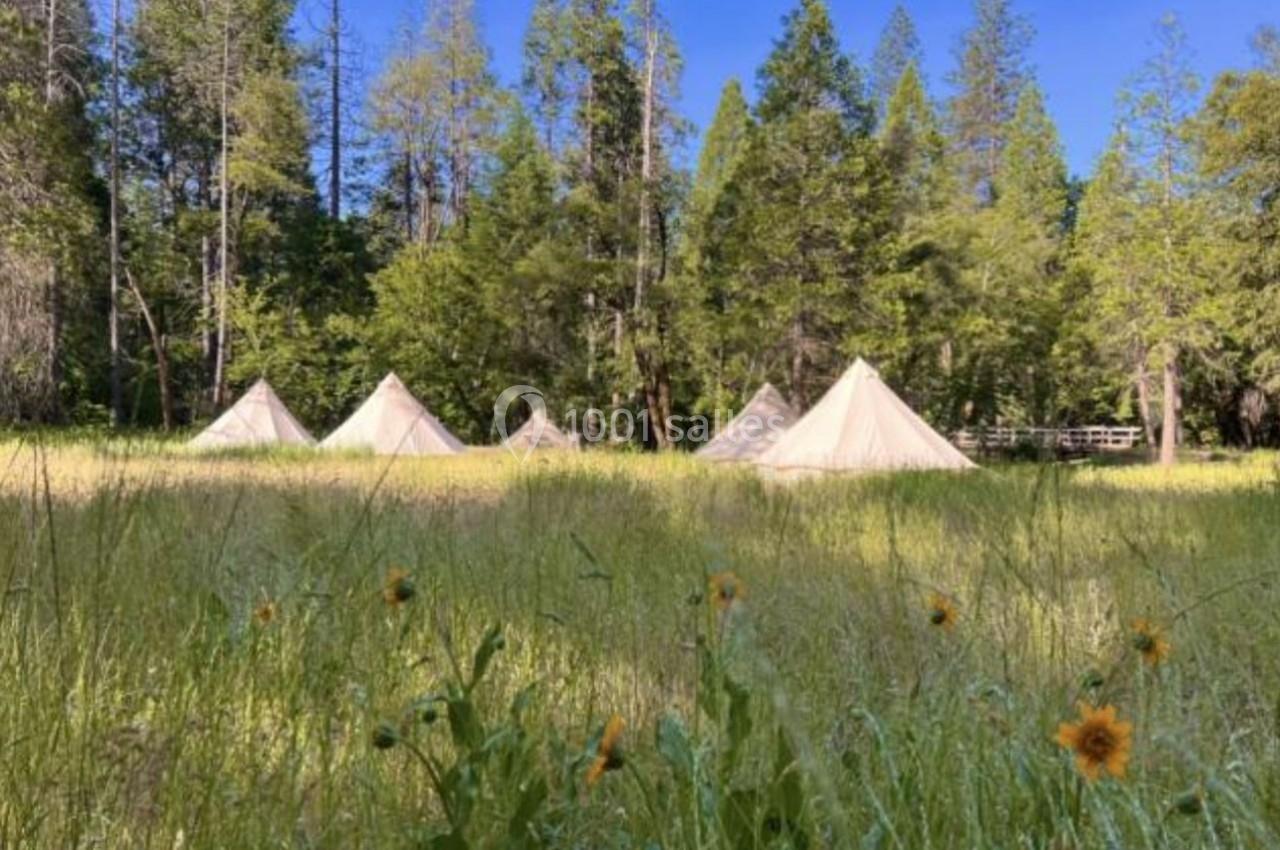 Tentes blanches installées dans une prairie verdoyante entourée d'arbres sous un ciel bleu clair.