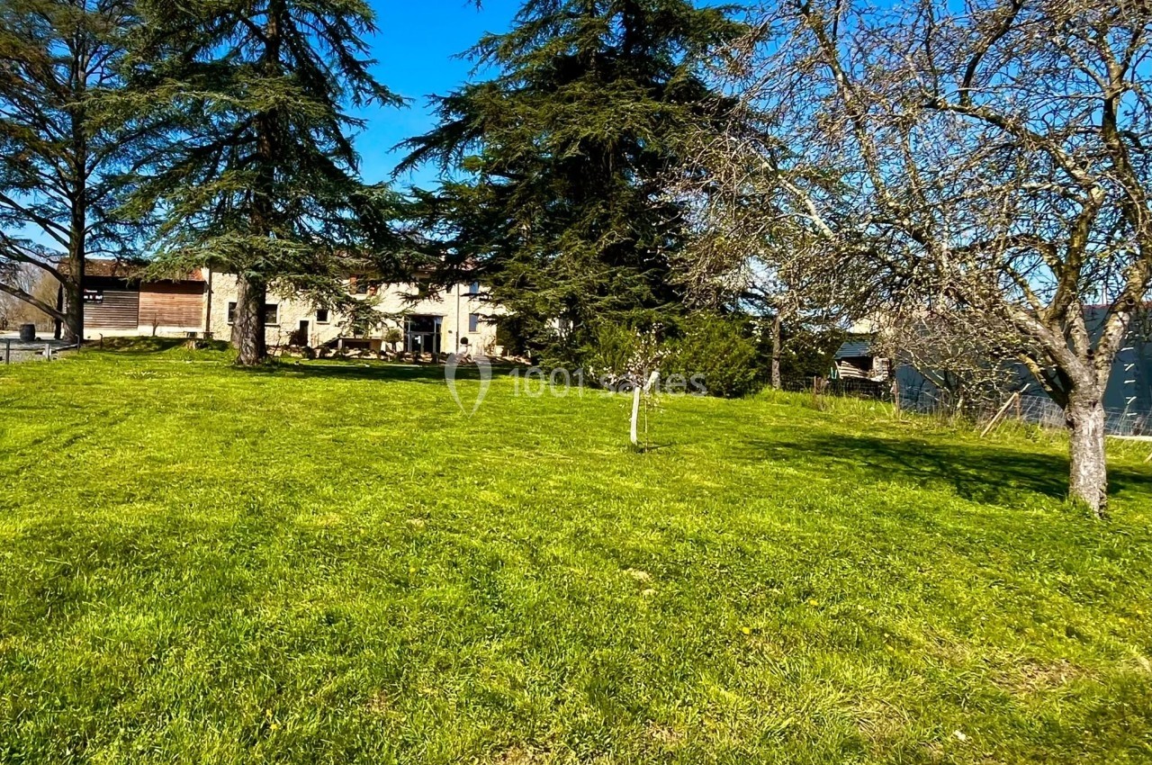 Pelouse verdoyante avec quelques arbres, une maison en pierre visible en arrière-plan sous un ciel bleu clair.