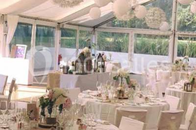 Glycine en fleurs grimpant sur une pergola, avec une maison en briques et des arbustes en arrière-plan.