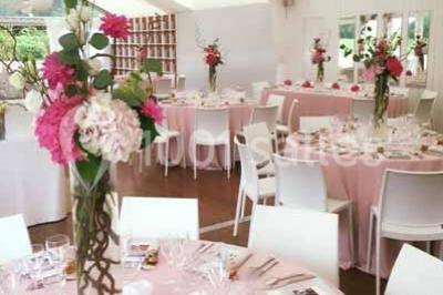 Glycine en fleurs grimpant sur une pergola, avec une maison en briques et des arbustes en arrière-plan.