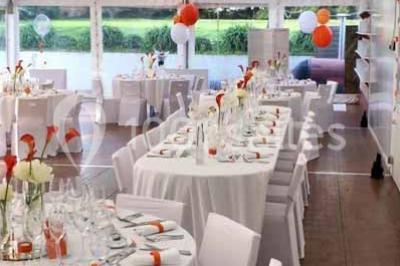 Glycine en fleurs grimpant sur une pergola, avec une maison en briques et des arbustes en arrière-plan.