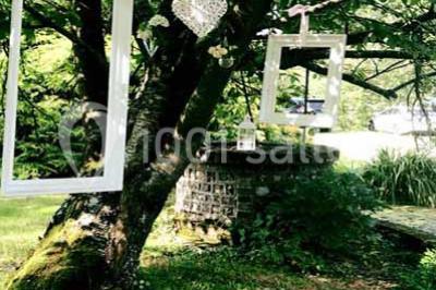 Glycine en fleurs grimpant sur une pergola, avec une maison en briques et des arbustes en arrière-plan.