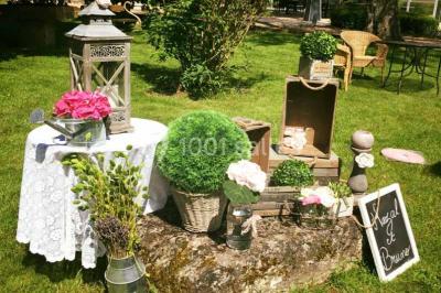 Glycine en fleurs grimpant sur une pergola, avec une maison en briques et des arbustes en arrière-plan.