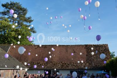 Glycine en fleurs grimpant sur une pergola, avec une maison en briques et des arbustes en arrière-plan.