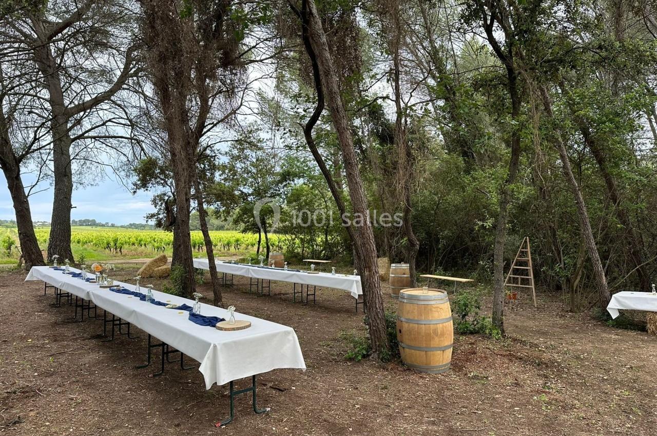 Repas vu sur vignes - La Clairière d'Arluc