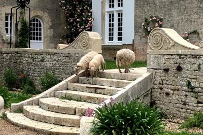 Vue sur un jardin avec pelouse, allées en gravier, parterre de fleurs rouges et bâtiments en pierre sous un ciel dégagé.