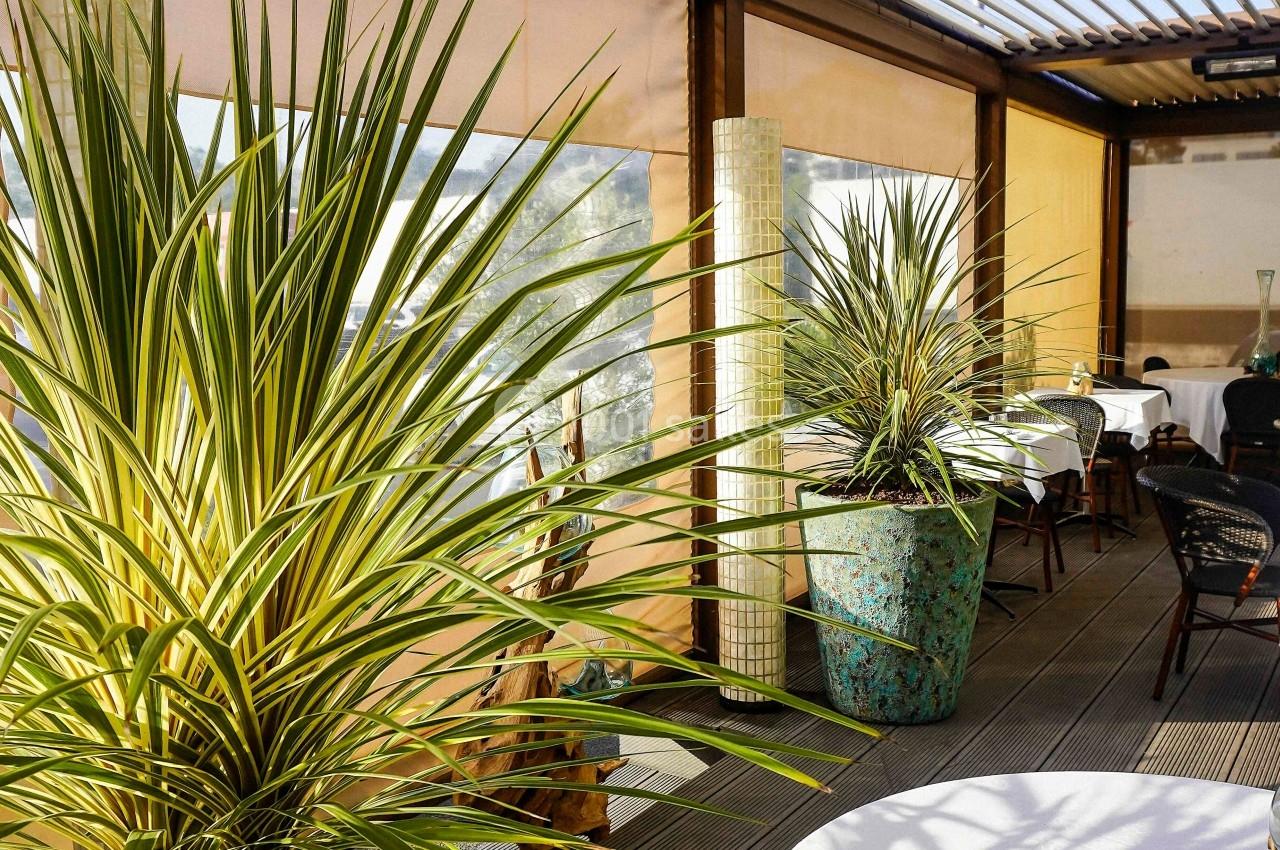Plantes en pot sur une terrasse couverte avec des tables dressées et des chaises en osier.