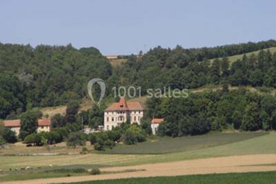 Château D'alleret - photo 3