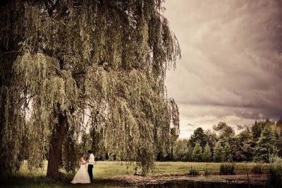Allée gravillonnée bordée de lanternes blanches menant à un jardin arboré, vue depuis un portail en fer forgé.
