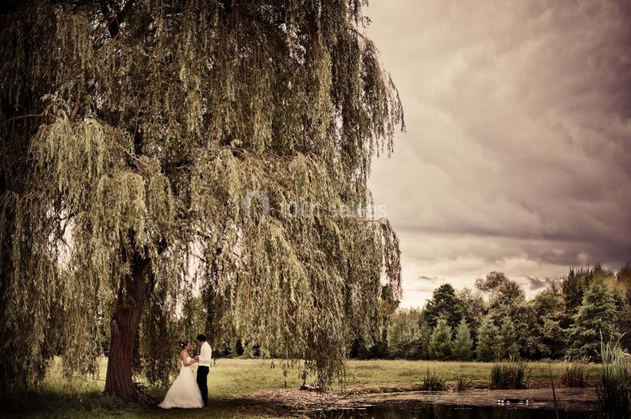 Un couple en tenue de mariage se tient sous un grand saule près d'un étang, dans un paysage champêtre nuageux.