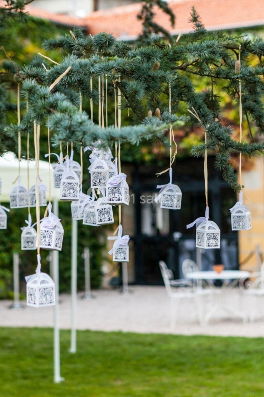 Petites lanternes blanches suspendues à un arbre dans un jardin, avec des tables et chaises en arrière-plan.