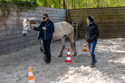 Femme souriante tenant les rênes d'un cheval brun dans un environnement extérieur boisé.