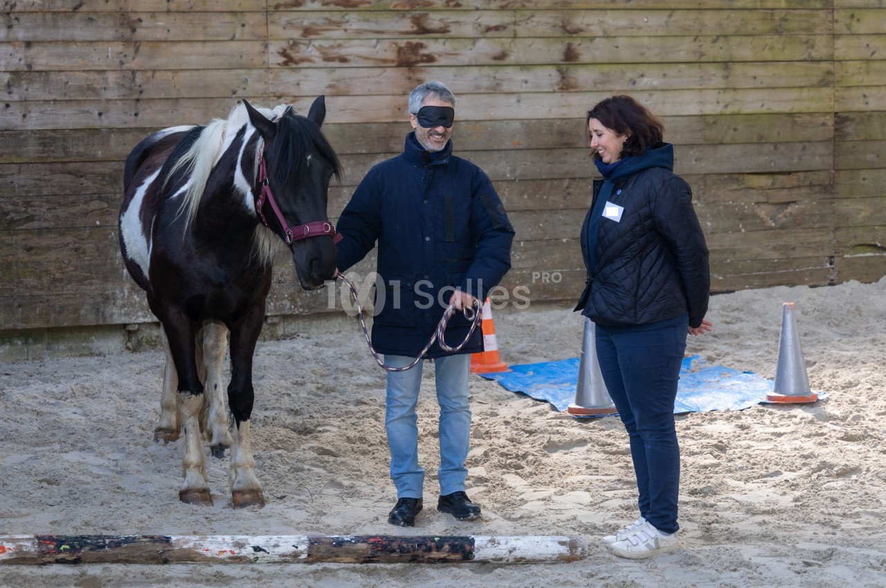 Un homme guidant un cheval tenu en longe, accompagné d'une femme, dans un espace sablonneux avec des obstacles.