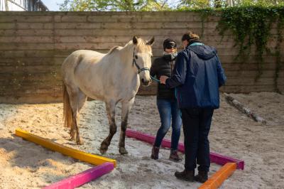 Ml Coaching & Développement Ml Coaching & Développement