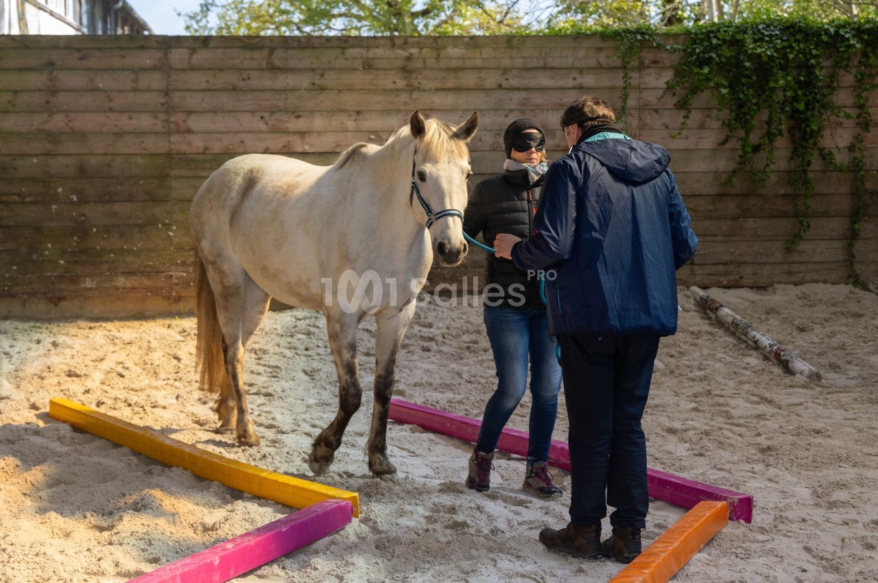 Un cheval beige guidé par deux personnes dans un manège, entouré de barres colorées au sol.