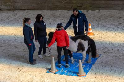 Femme souriante tenant les rênes d'un cheval brun dans un environnement extérieur boisé.