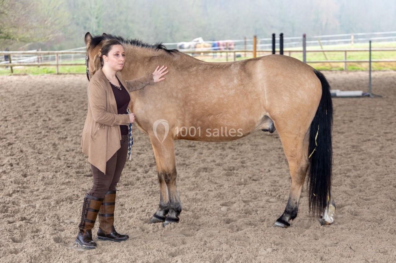 Une femme pose sa main sur le flanc d'un cheval dans un manège extérieur entouré de clôtures.