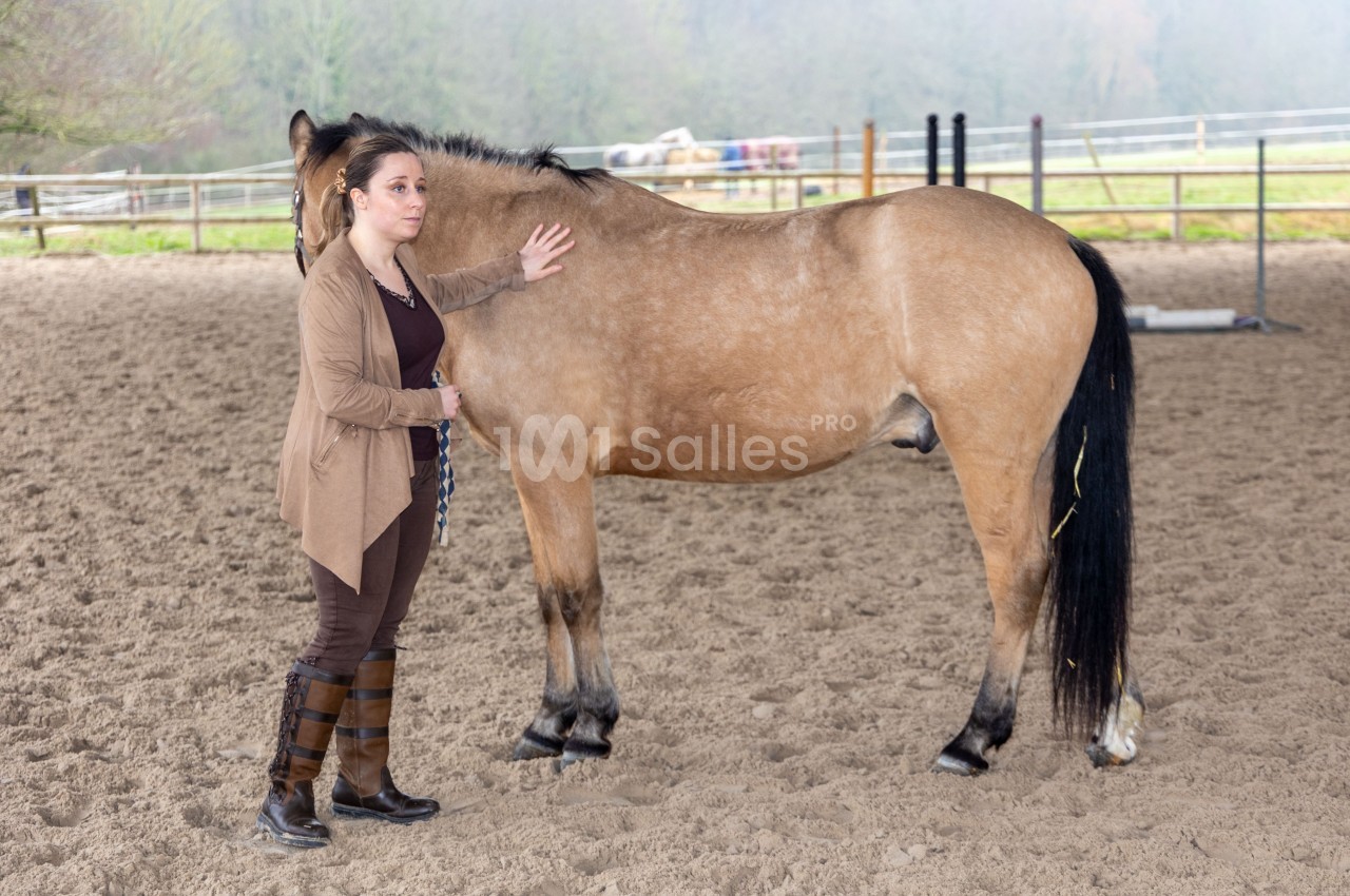 Une femme pose sa main sur le flanc d'un cheval dans un manège extérieur entouré de clôtures.