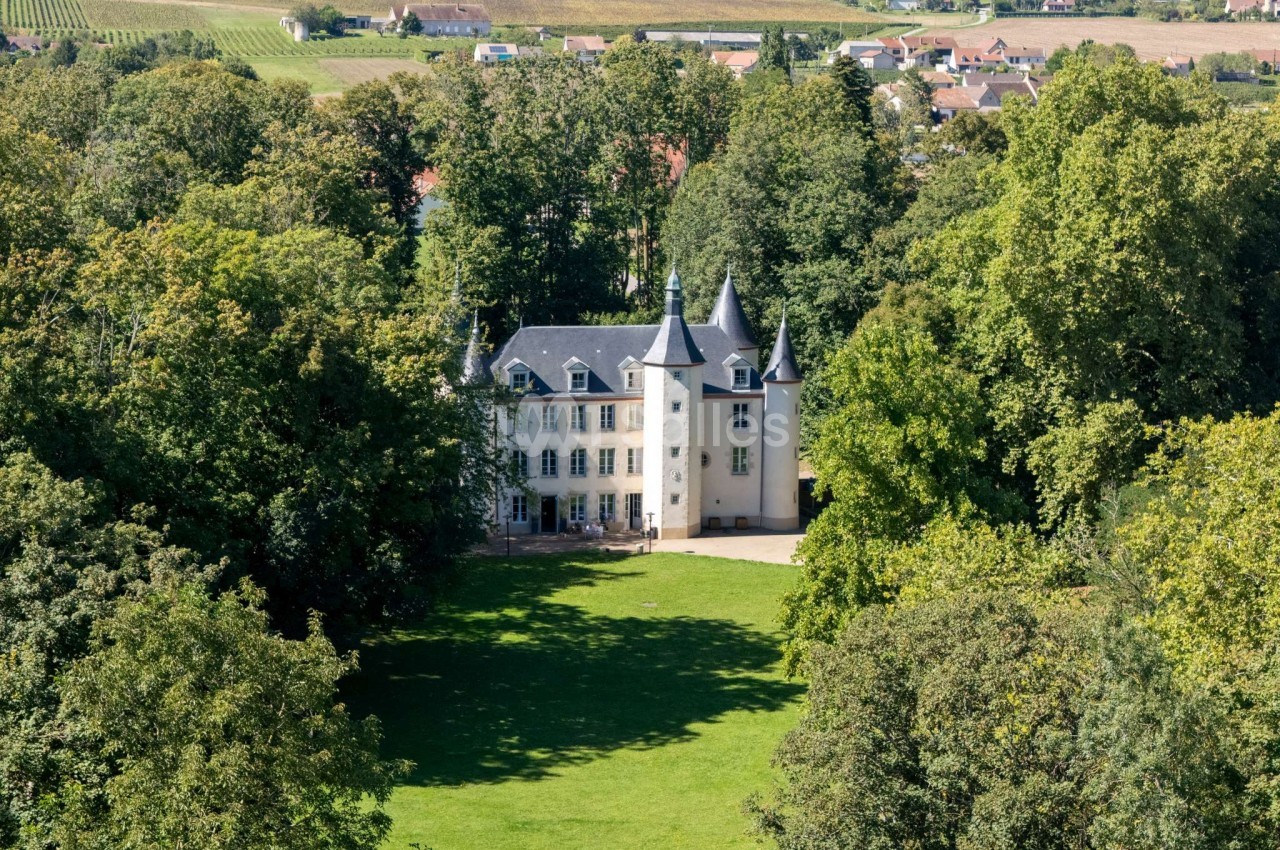 Vue aérienne d'un château entouré d'arbres, avec des vignobles et des habitations en arrière-plan.