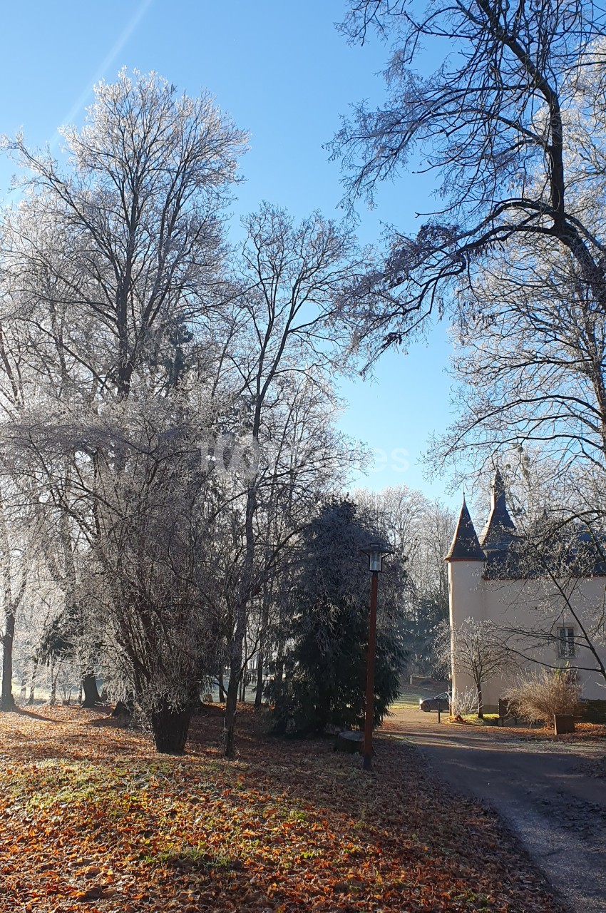 Allée bordée d'arbres givrés menant à un bâtiment avec des tours, par une matinée ensoleillée d'hiver.