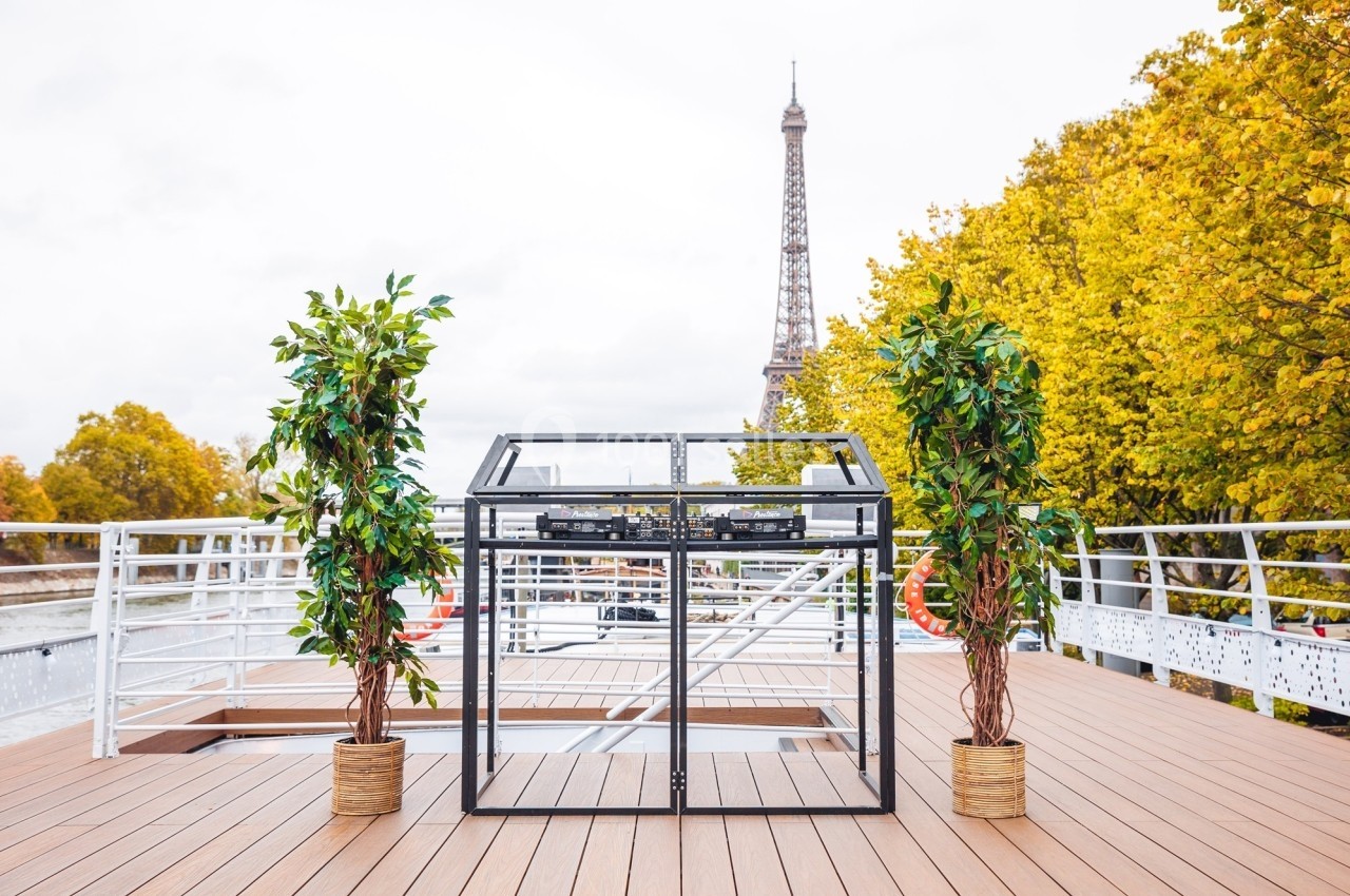 Deux plantes en pot encadrent une petite serre en métal sur une terrasse en bois avec la tour Eiffel en arrière-plan.