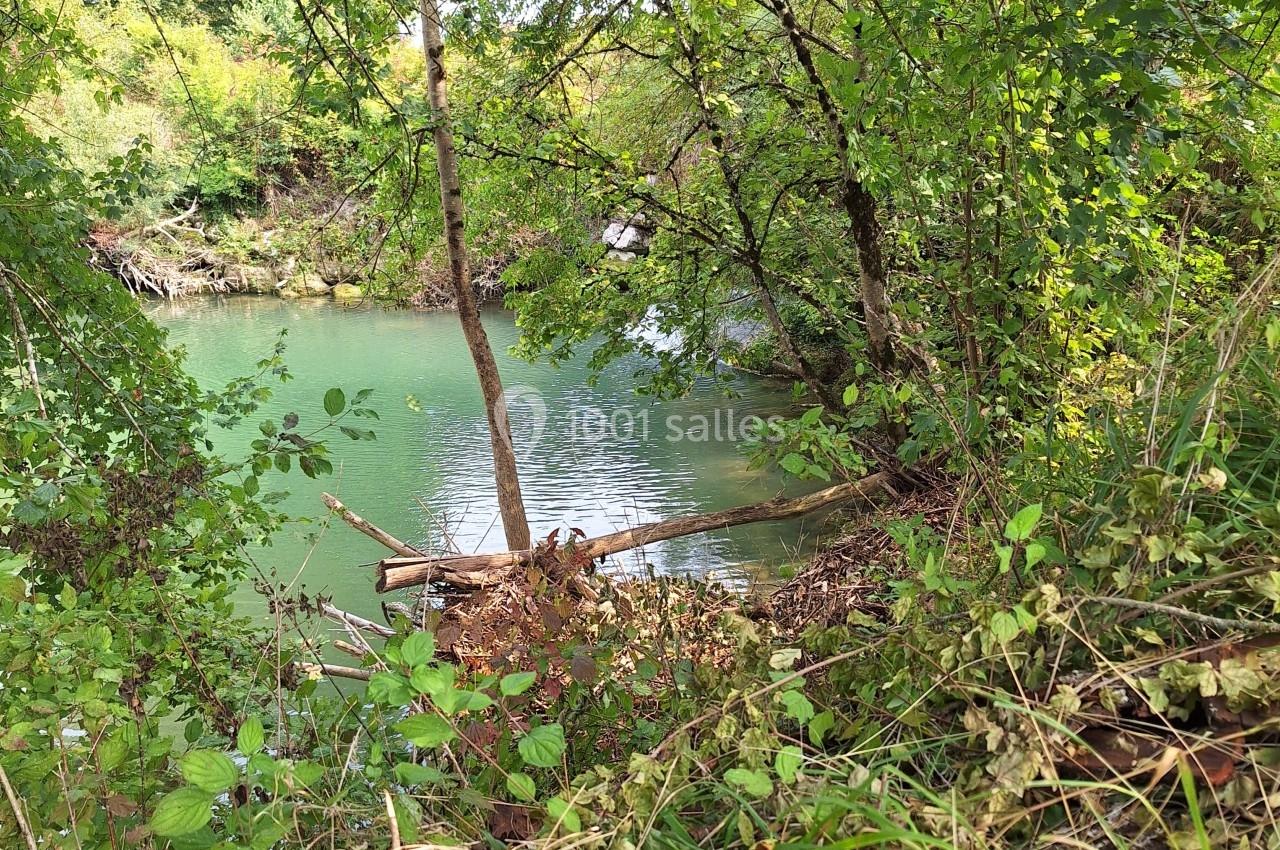 Vue d'un étang entouré de végétation dense avec des arbres et des branches tombées au bord de l'eau.