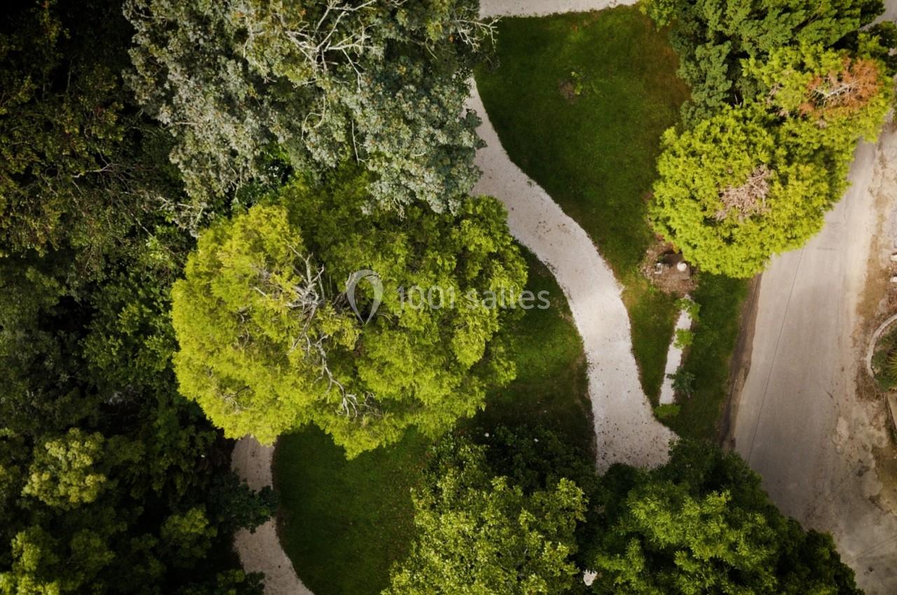 Vue aérienne d'un chemin sinueux entouré de verdure et d'arbres dans un environnement naturel.