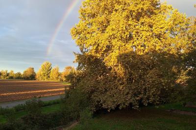 Miniature VUE DEPUIS LES CHAMBRES D'HÔTES Chambre lumineuse avec lit double, fauteuil en bois, baignoire blanche et grande fenêtre donnant sur l'extérieur.