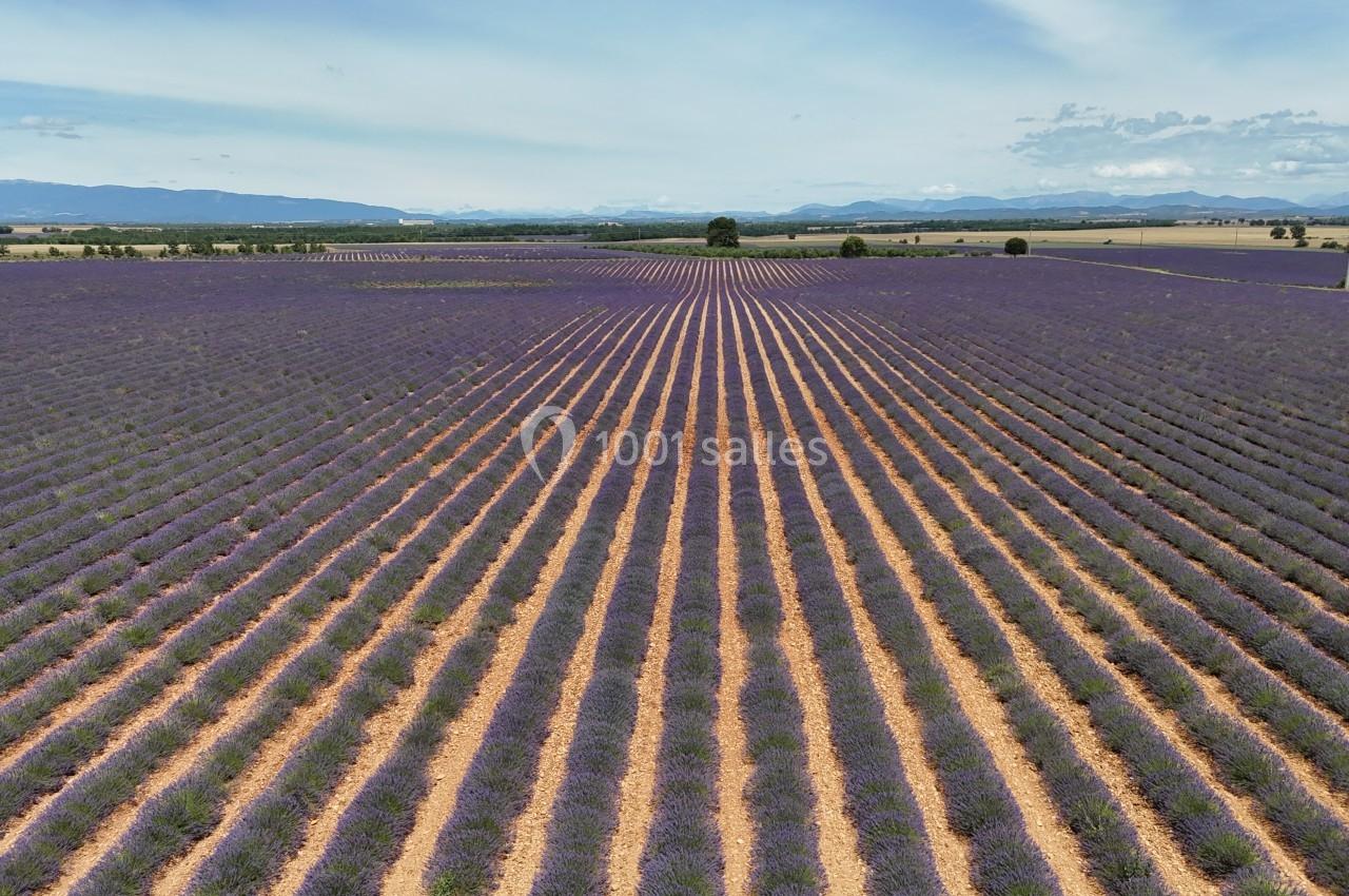 Domaine de Peyremane  - galerie - photo 42