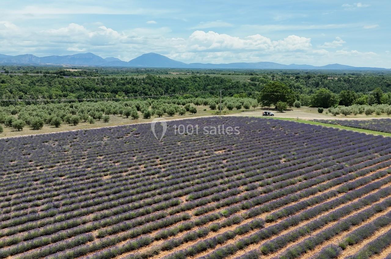 Domaine de Peyremane  - galerie - photo 43