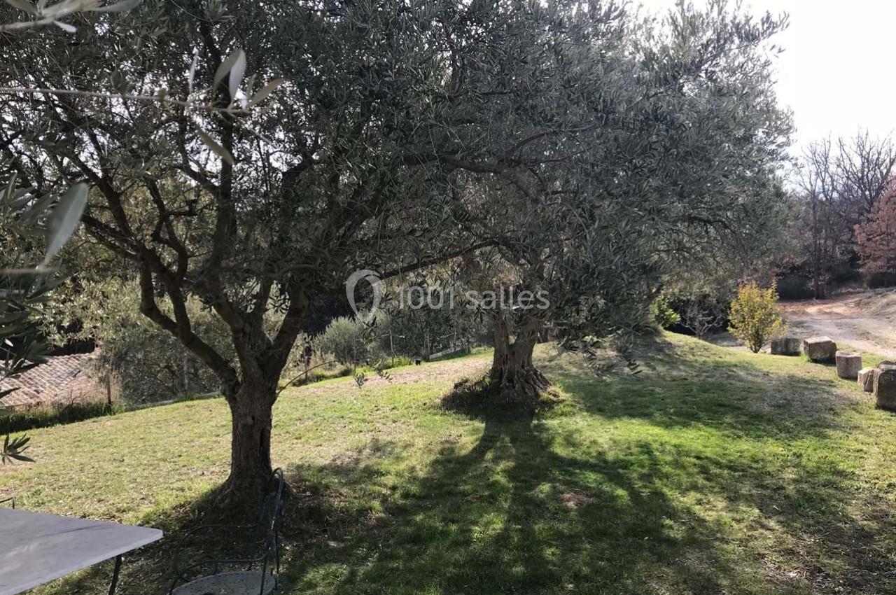 Location salle Valensole (Alpes-de-Haute-Provence) - Domaine de Peyremane  #34