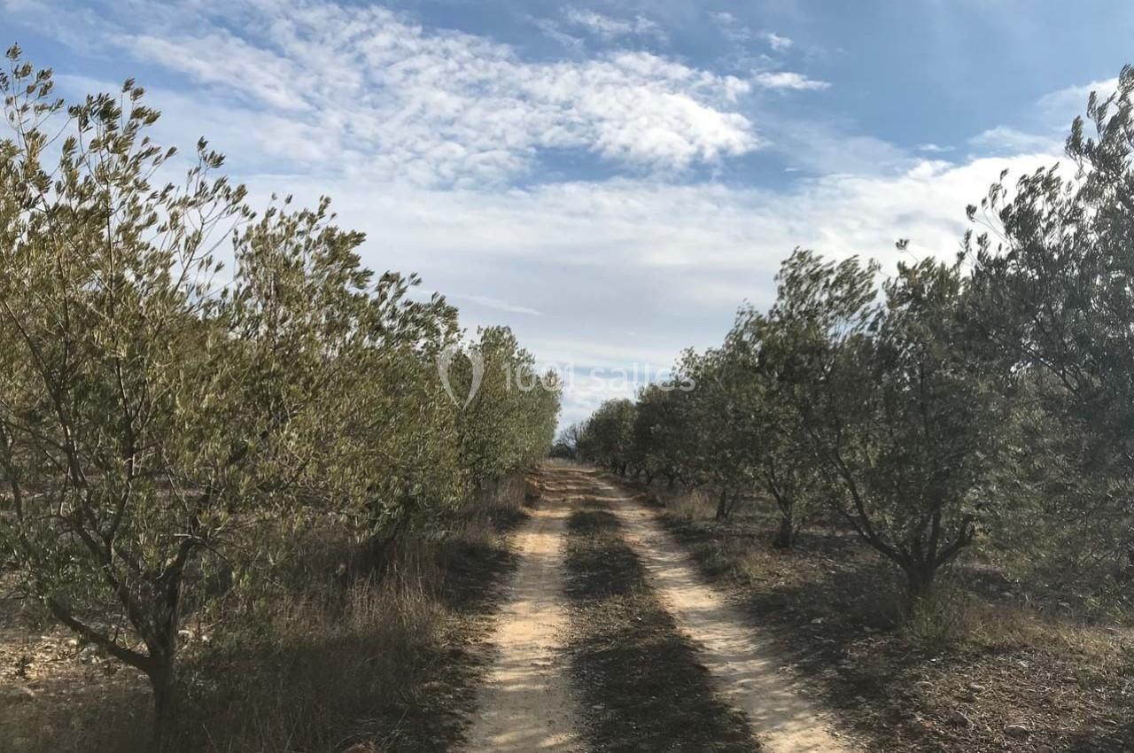 Location salle Valensole (Alpes-de-Haute-Provence) - Domaine de Peyremane  #35