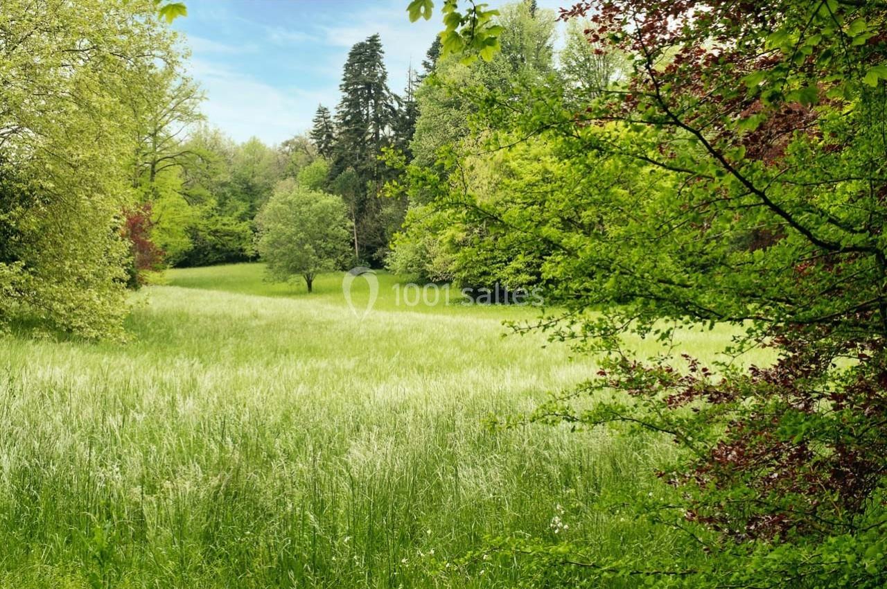 Prairie verdoyante entourée d'arbres sous un ciel bleu clair.