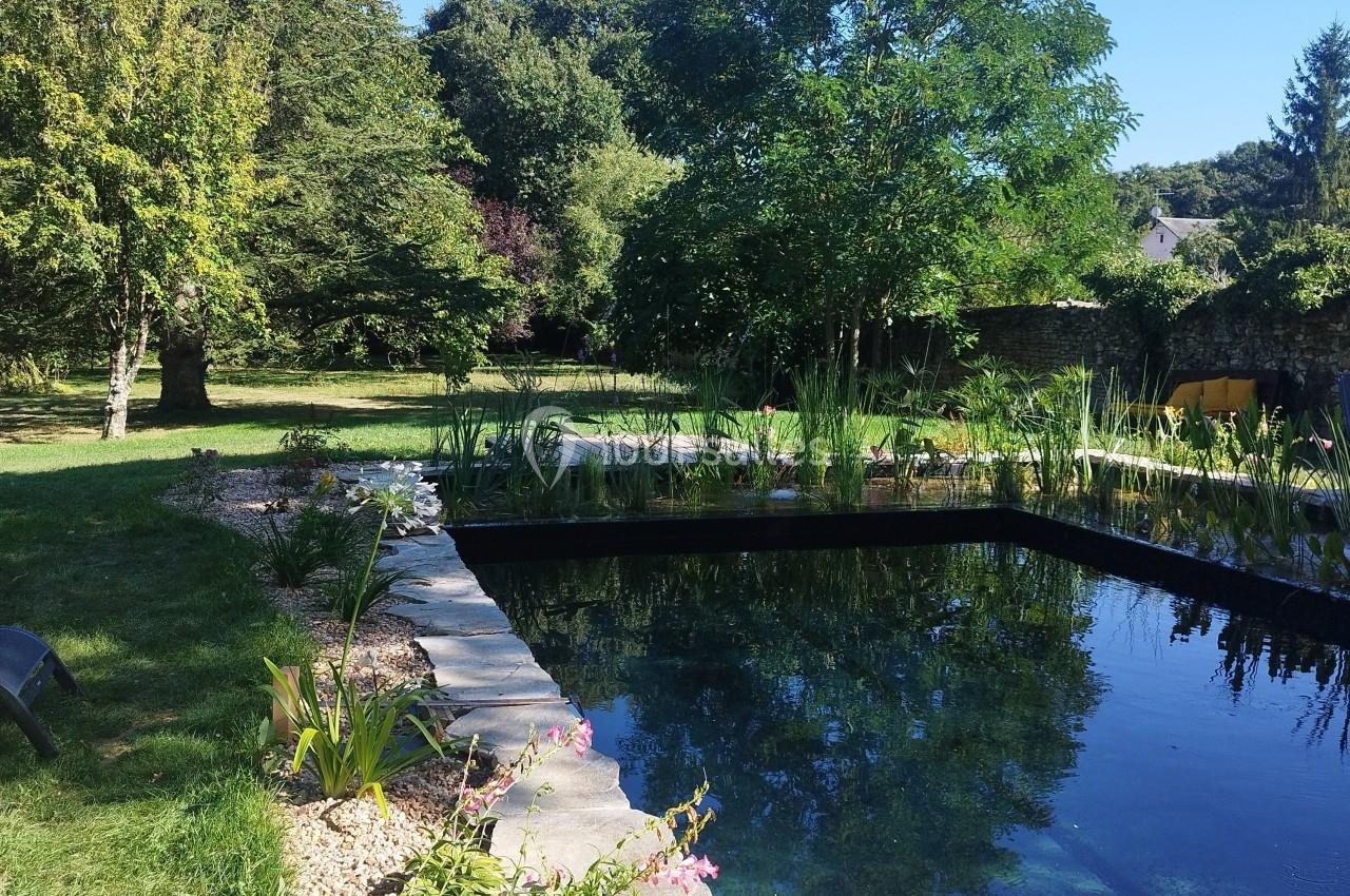 Étang naturel entouré de végétation, avec des plantes aquatiques et un jardin arboré sous un ciel dégagé.